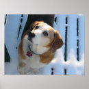 Recherche de heaven posters Chien