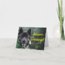 Recherche de akitas vœux cartes Animaux domestiques