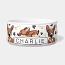 Recherche de cute animaux articles Os