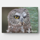 Zoek naar roofvogel fotoplaat Ornithologie