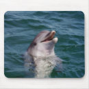 Recherche de natation tapis souris Dauphins