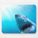 Recherche de grand requin blanc tapis souris Poisson