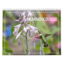 Zoek naar kolibrie fotografie Tuin