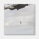 Recherche de ch magnets Terrain