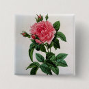 Recherche de rosa badges Joseph