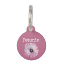 Recherche de pétunia maison deco Fleur