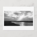 Recherche de sarasota cartes postales Eau