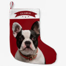 Zoek naar mooie kerstsokken For pets