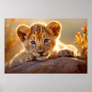Zoek naar leeuw welpen posters Wild
