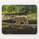 Recherche de ours noir et blanc tapis souris Cathy