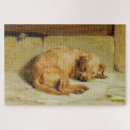 Recherche de cocker anglais puzzles Dog