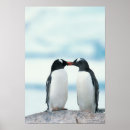 Zoek naar pinguin posters Liefde