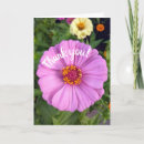 Zoek naar roze zinnia kaarten Floreel