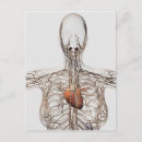 Recherche de système lymphatique posters Axillaire