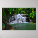 Recherche de erawan posters Forêt