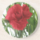 Zoek naar anjers onderzetters Rood