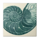 Recherche de peinture marine carreaux Coquillage de sépia