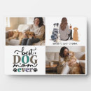 Recherche de chiens plaques Maman de chien