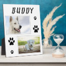 Recherche de chien plaques Pour animaux