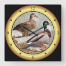 Recherche de canards sauvages posters Australie