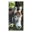 Recherche de ânes posters Mignon