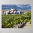 Recherche de pays basque posters Province