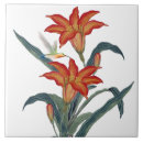 Recherche de décoratifs carreaux Pour elle