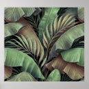 Recherche de motif palmier posters Jungle