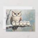 Recherche de famille de hibou cartes postales Oiseau