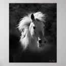 Recherche de cheval noir et blanc posters Ouest