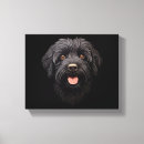 Zoek naar labradoodle meer kunst Schattig