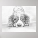Recherche de dessin de chien posters Animaux domestiques