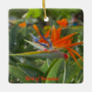 Recherche de paradis ornements Bird of paradise ornamnament