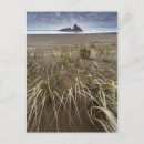 Recherche de west coast posters Ocean