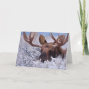 Recherche de orignaux vœux cartes Neige