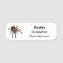 Recherche de araignée bureau fournitures Insecte