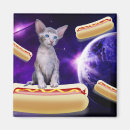 Recherche de chat magnets Espace