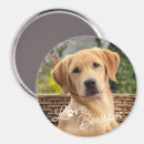 Recherche de citation de souvenirs magnets Mother
