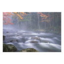 Recherche de brume posters Brouillard
