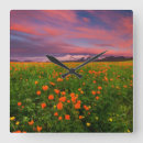 Zoek naar wild klokken Weide