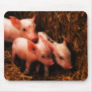 Recherche de porcs tapis souris Piggies