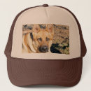 Recherche de berger allemand casquettes Alsacien