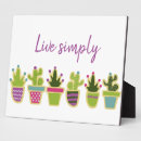 Recherche de cactus plaques Succulent