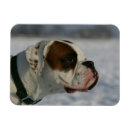 Recherche de profil vœux cartes Dog