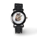 Recherche de chats montres Animaux domestiques
