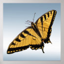 Recherche de papillon machaon art Animaux