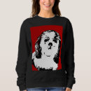 Recherche de bichon vêtements Blanc