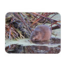 Recherche de pousse pousse magnets Nature