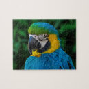Recherche de perroquets sauvages puzzles Animal