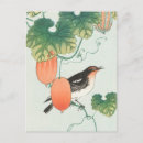 Recherche de chanteurs cartes postales Oiseau
